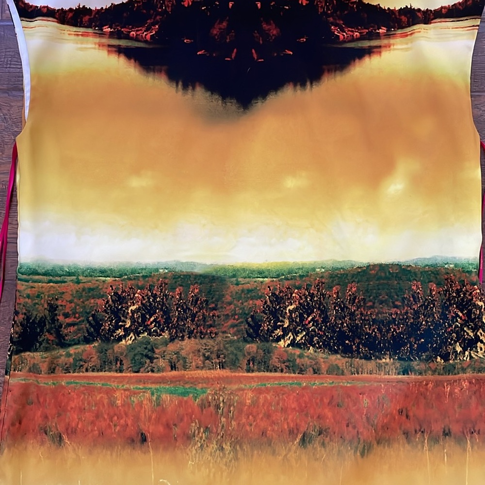 Catherine Malandrino landscape top - Picture 2 of 11